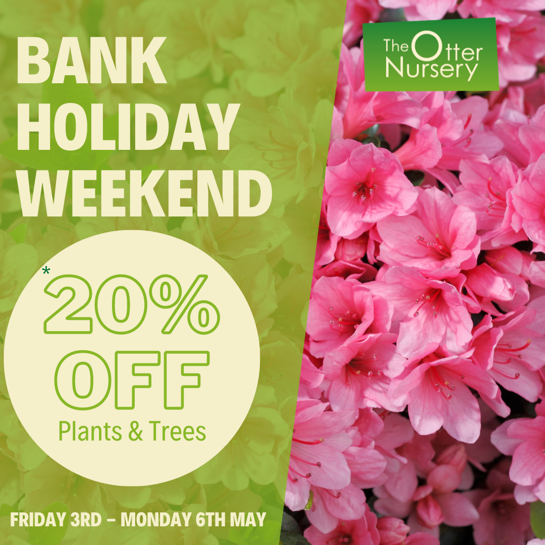 20-off-plants-trees-this-bank-holiday-weekend-the-otter-nursery